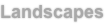shapeimage_4_link_1